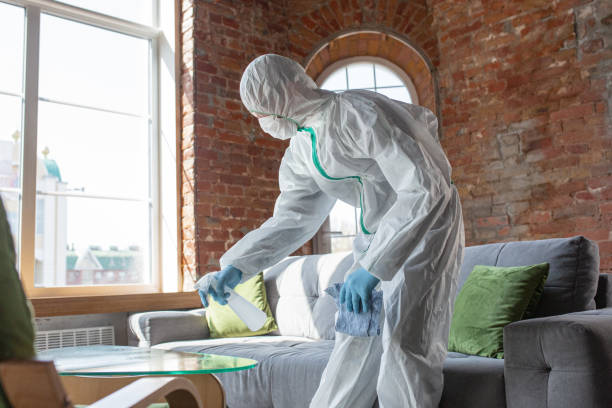 Best Black Mold Removal  in South Waverly, PA