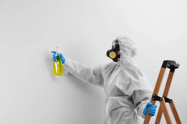 Mold Remediation for Vacation Homes in South Waverly, PA