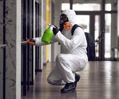 Biohazard Mold Removal in South Waverly, PA